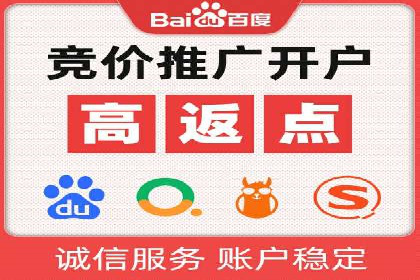 某电商平台的SEM策略与效果展示